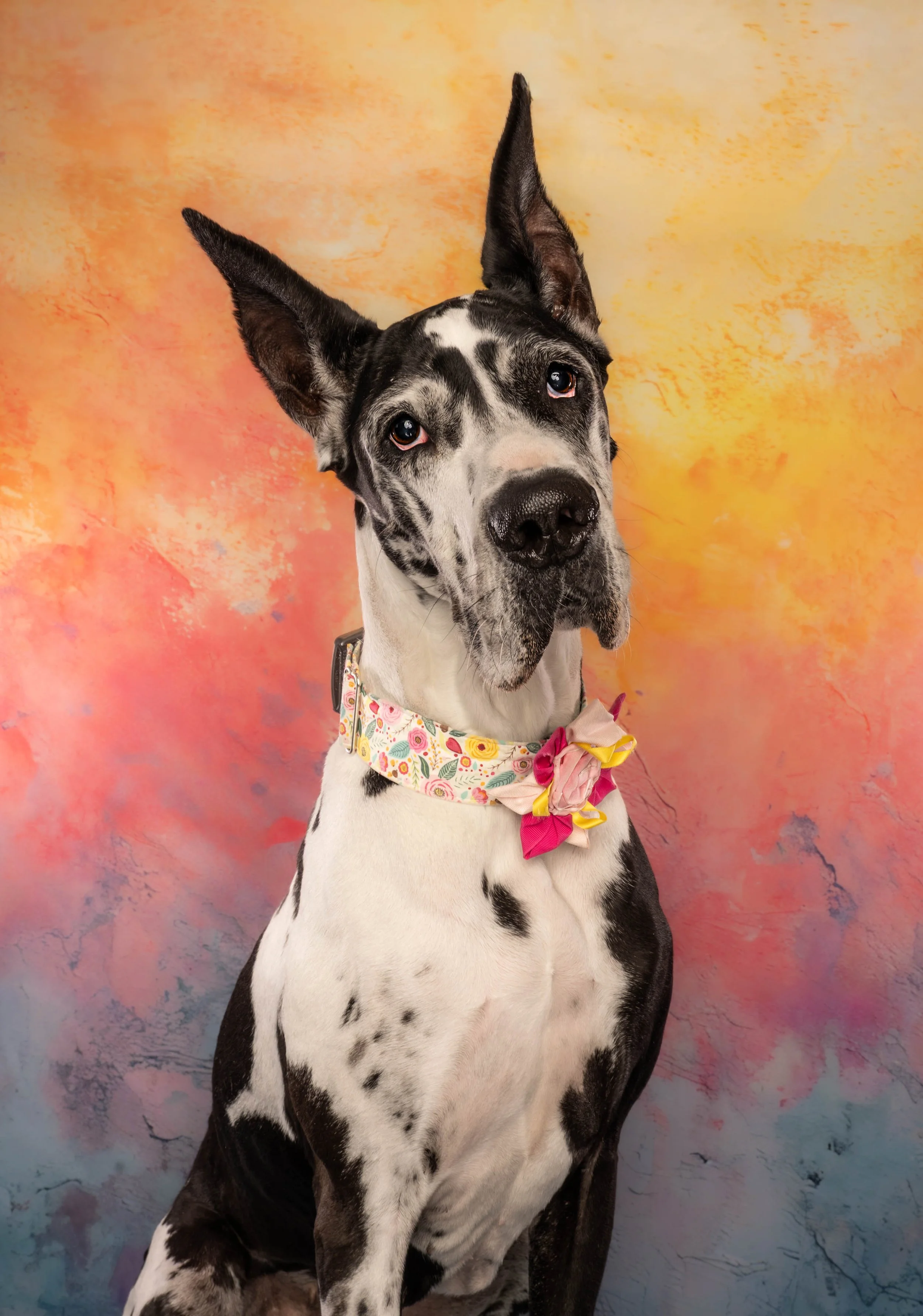 DOG_1036.jpg