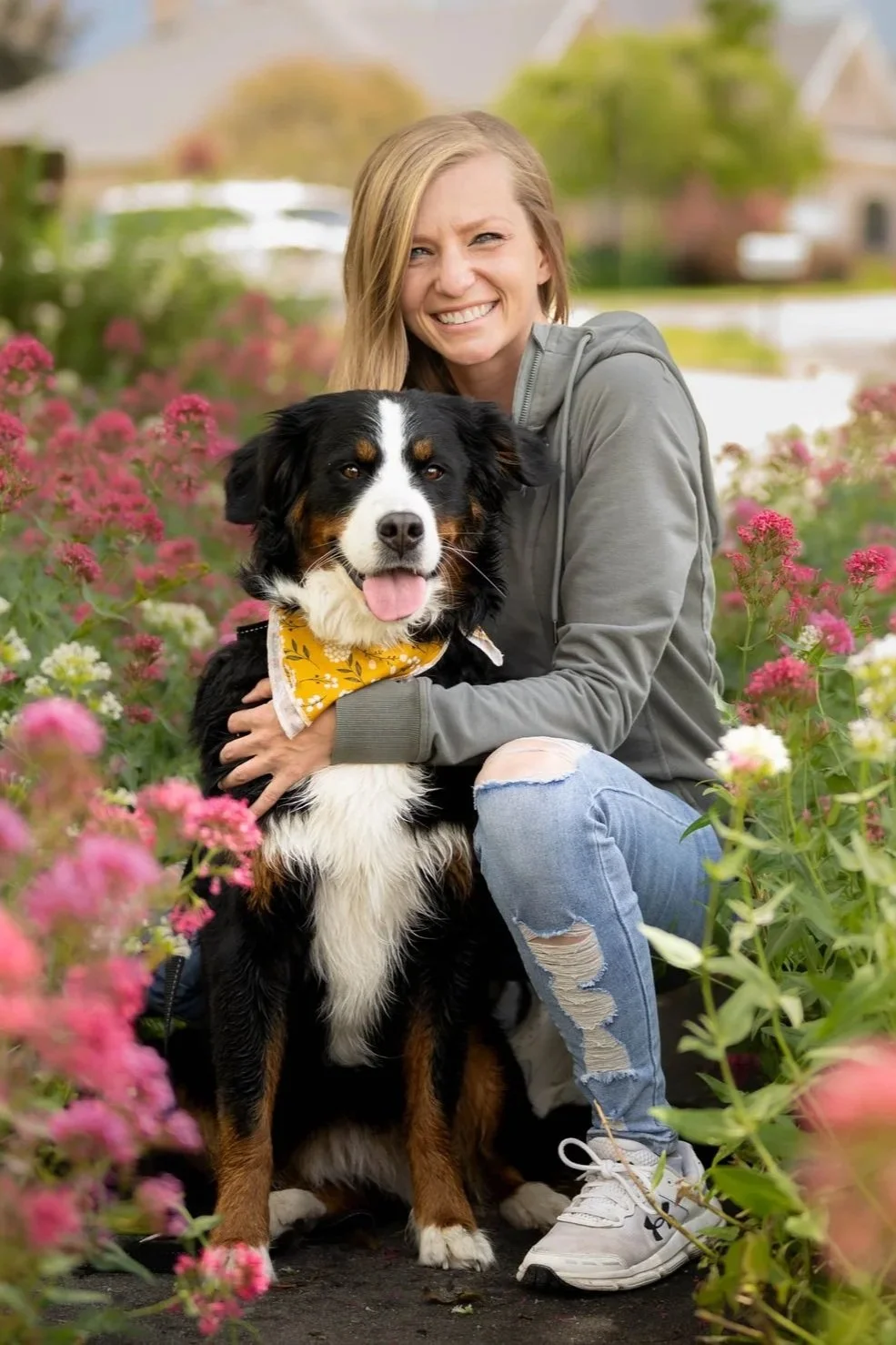 A woman smiling and hugging a Bernese Mountain Dog in a colorful garden of pink and white flowers.