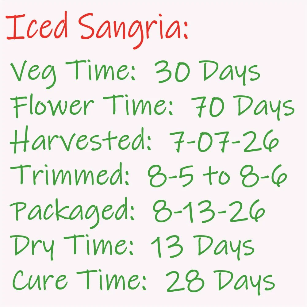 Iced Sangria -  time-line Card - 8-07-26-100.jpg
