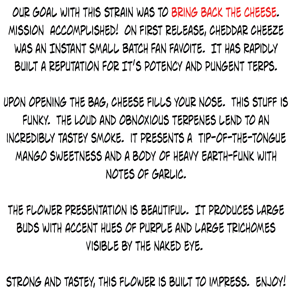 Cheddar Cheeze - Write-up Box - 1K x 1K.png