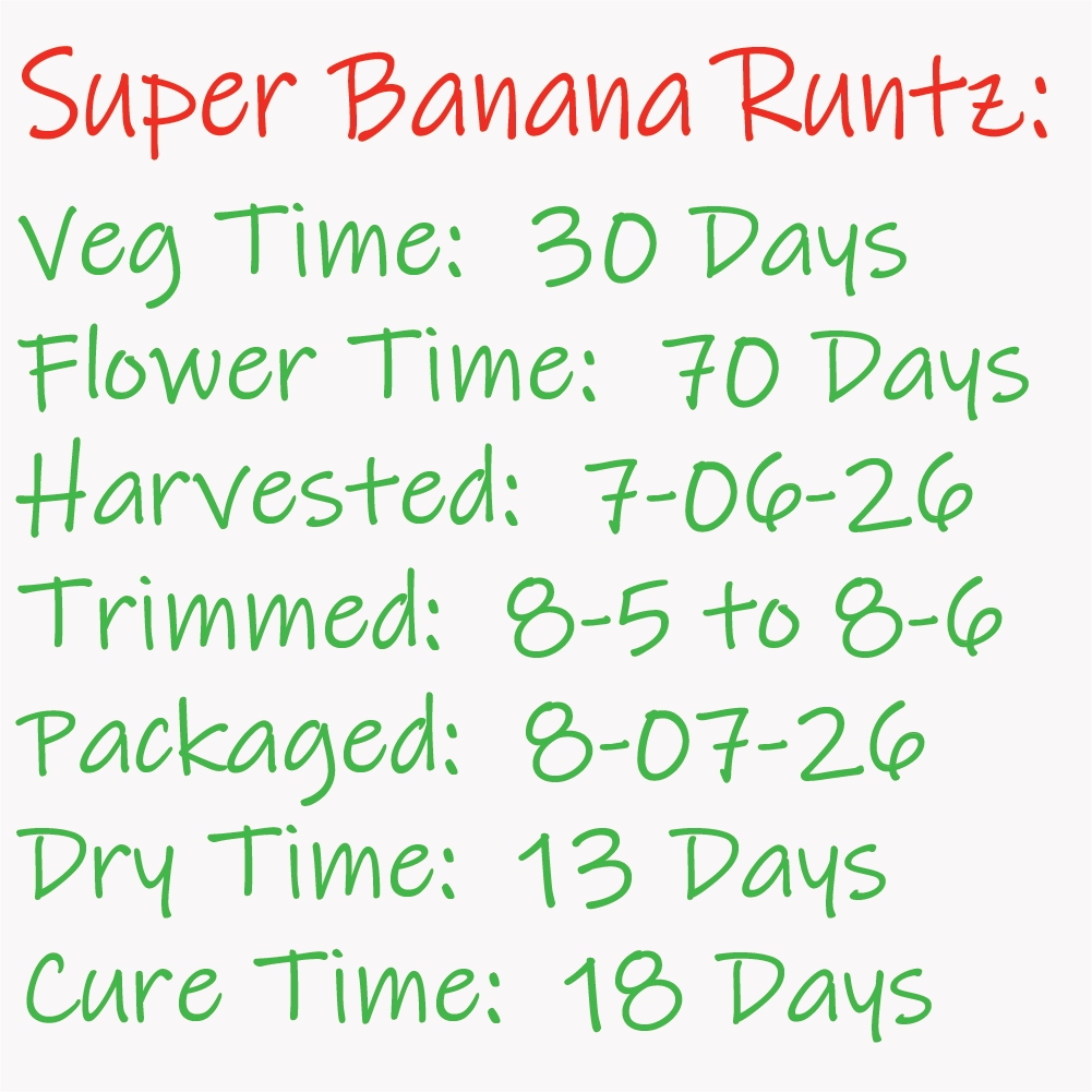 Super Banana Runtz -  time-line Card - 8-07-26.png