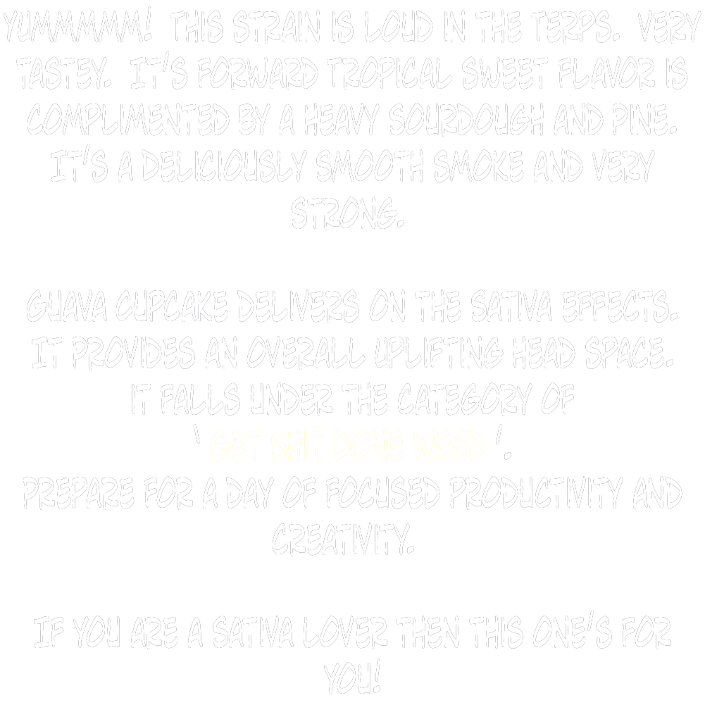 Guava Cupcake write-up.png