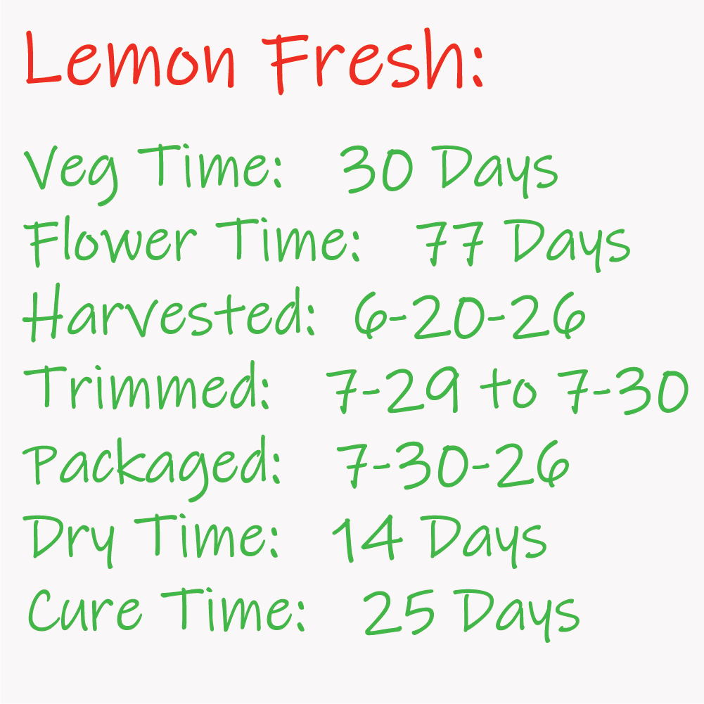 Lemon Fresh - Calendar.png