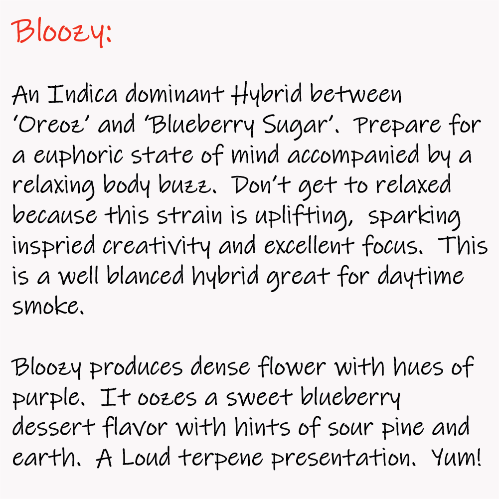 Bloozy - Write-up - 1K x 1K.png