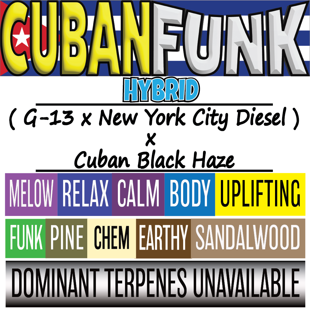 Cuban Funk Strain card - 1K x 1K.png