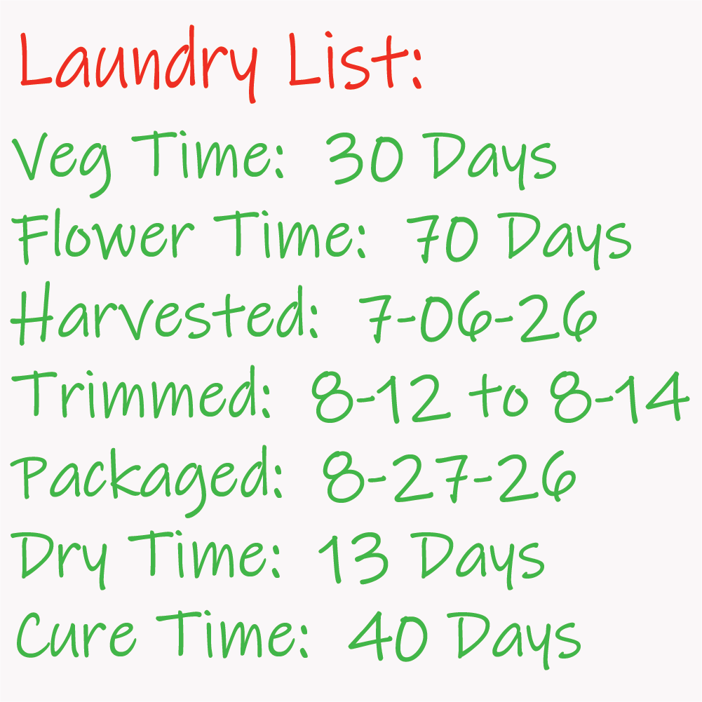 Laundry List -  time-line Card - 9-04-26.png