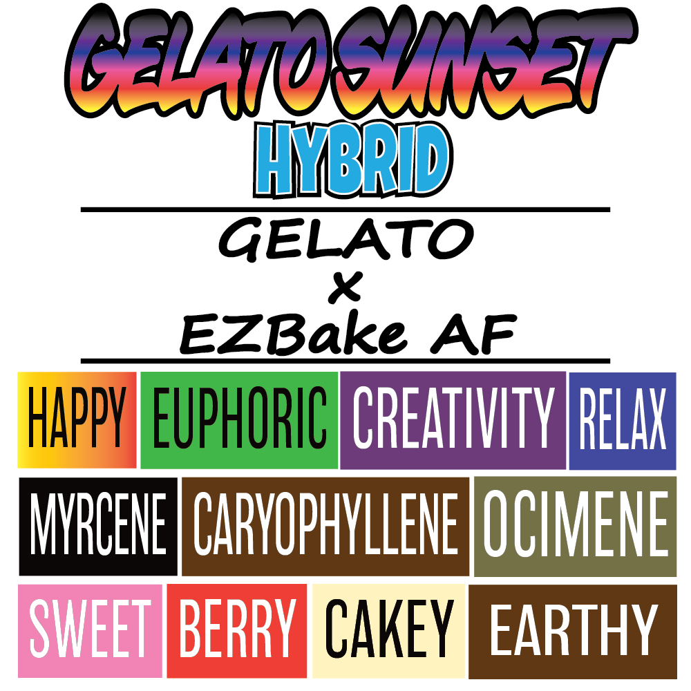 Gelato Sunset - Strain Sign - 1000x1000pix_1.png