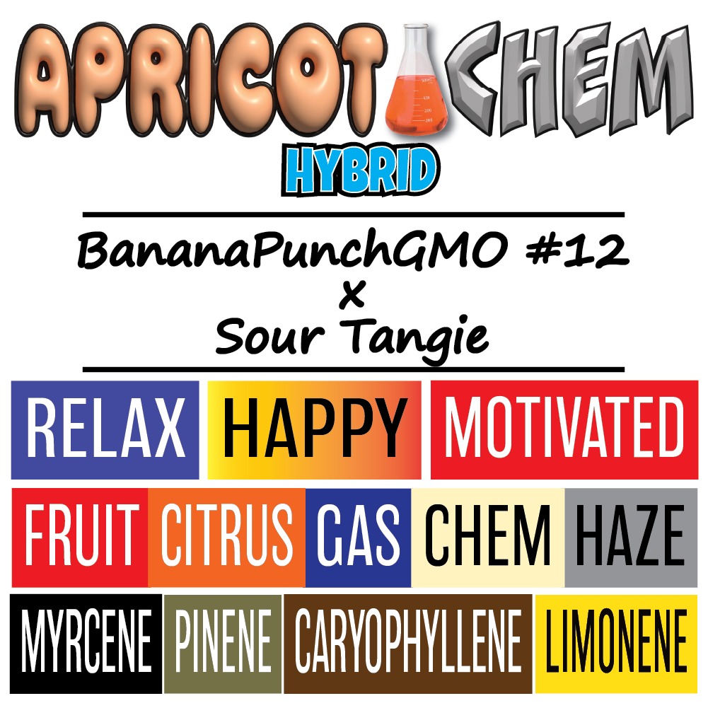 Apricot Chem - Strain Card - 1K x 1K.png