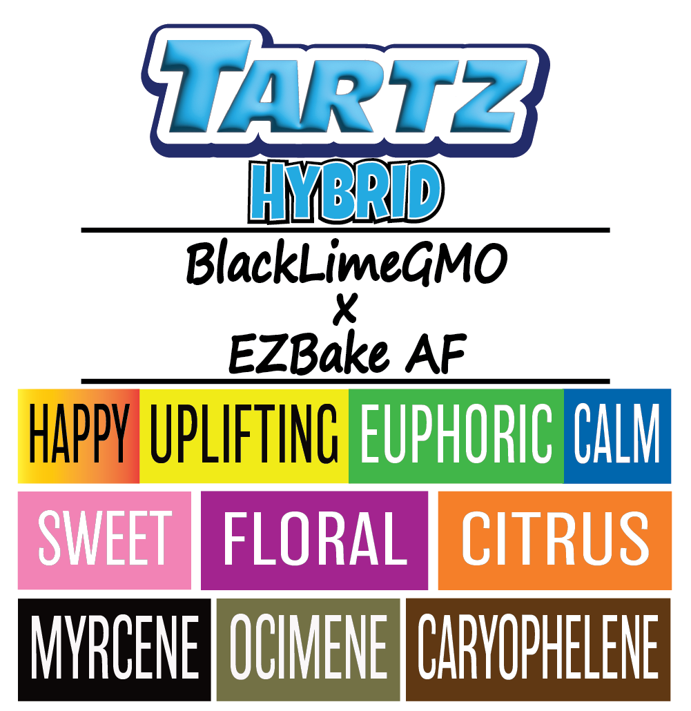 Tartz - Strain Card - 1000px x 1000px.png