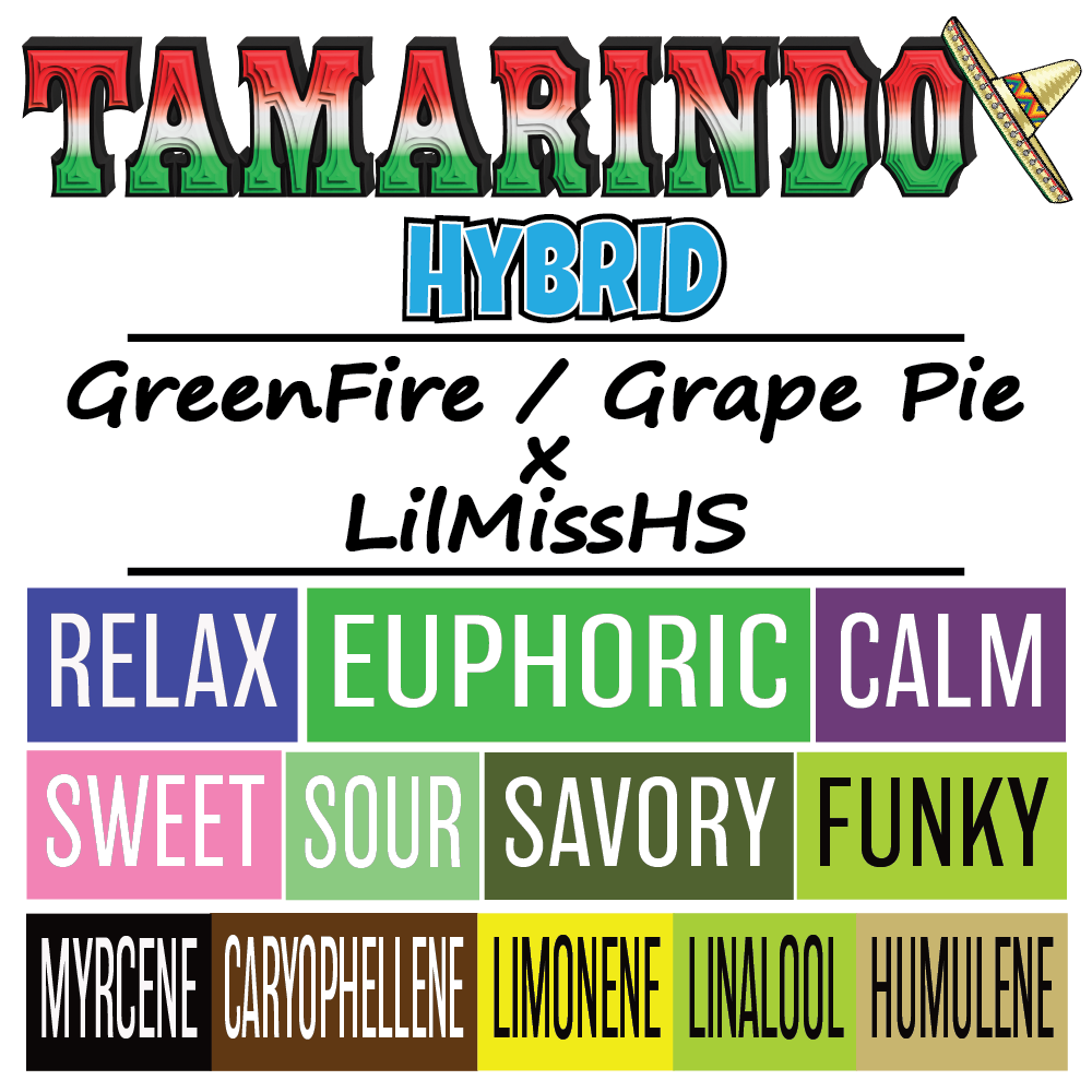 Tamarindo - 1000px x 1000px.png