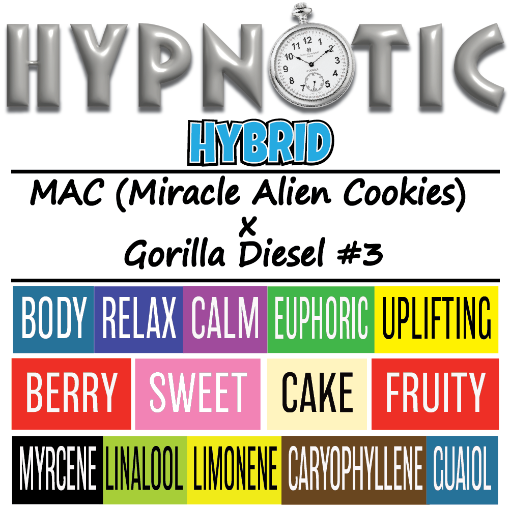 Hypnotic - Strain Card - 1K x 1K.png