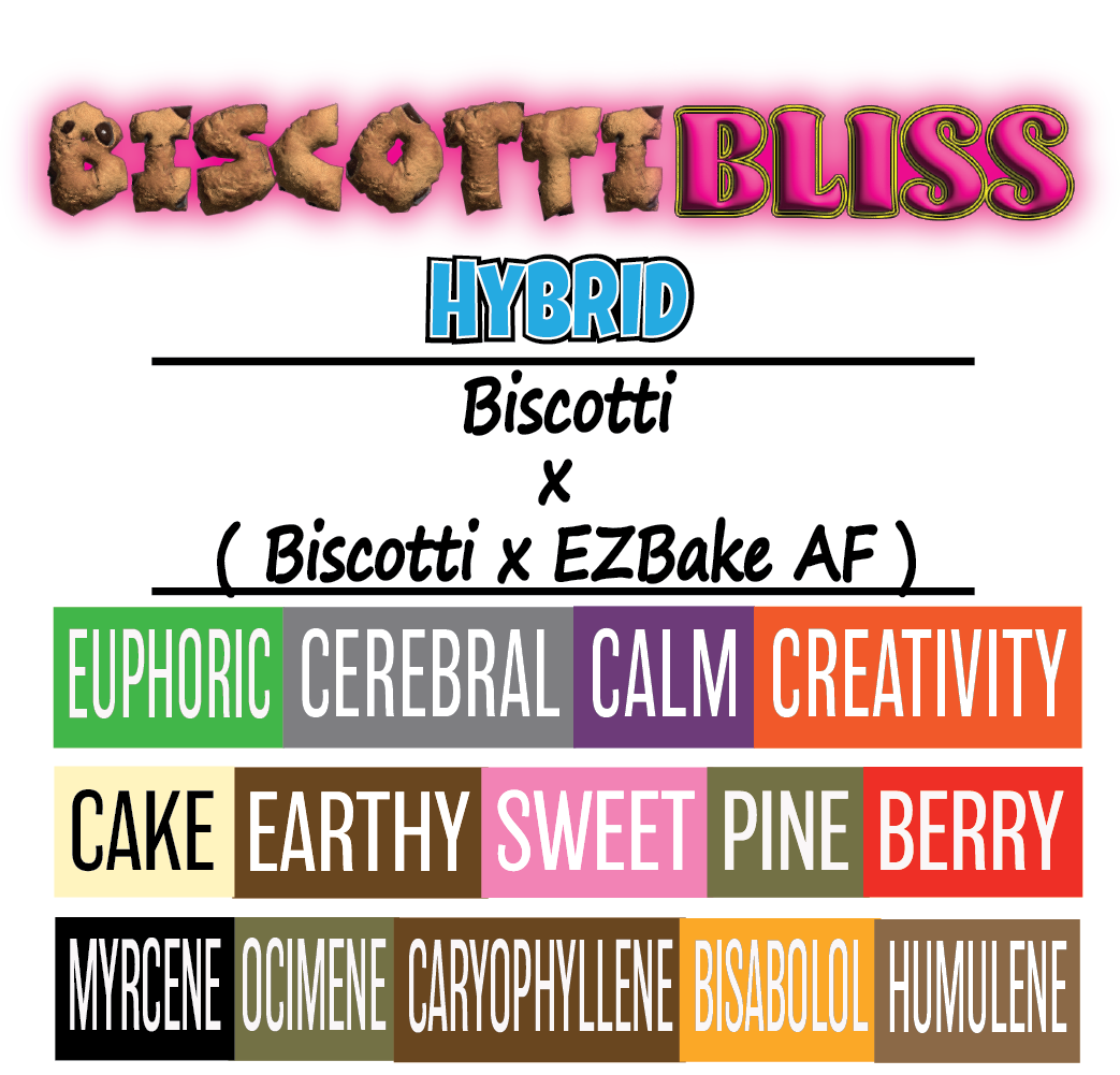 Biscotti Bliss - Sgtrain Card - 1K x 1K.png
