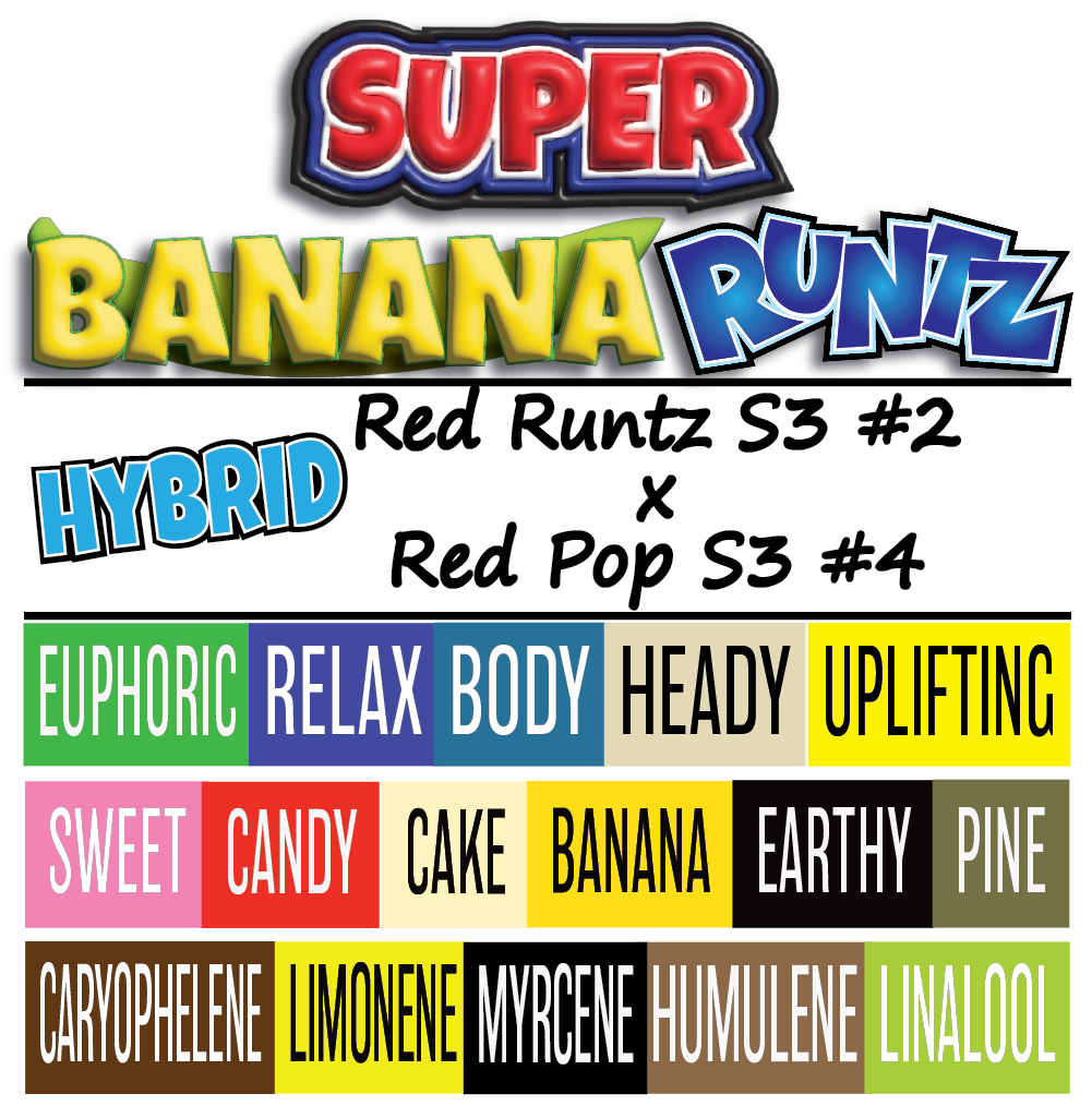 Super Banana Runtz - Strain Cafrd - 1K x 1K.png
