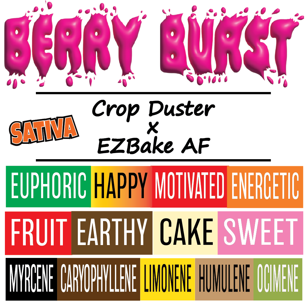 Berry Burst - Strain Card - 1K x 1K.png