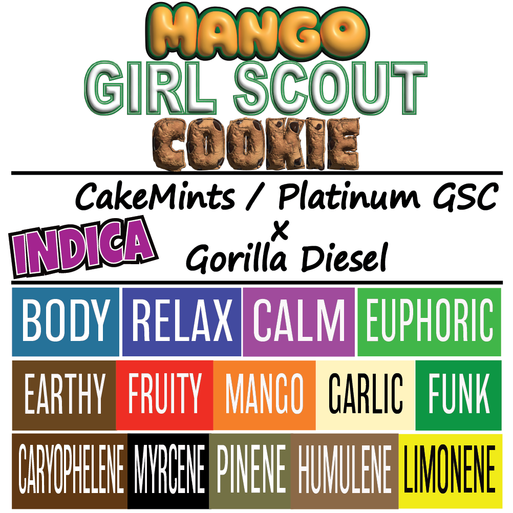 Mango Girl Scout Cookie - Strain Card - 1K x 1K.png