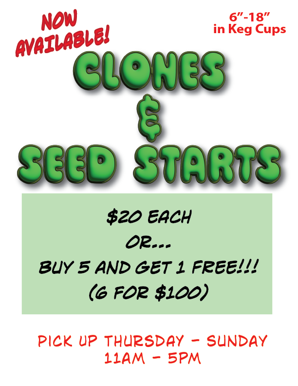 Clone Announcement.png