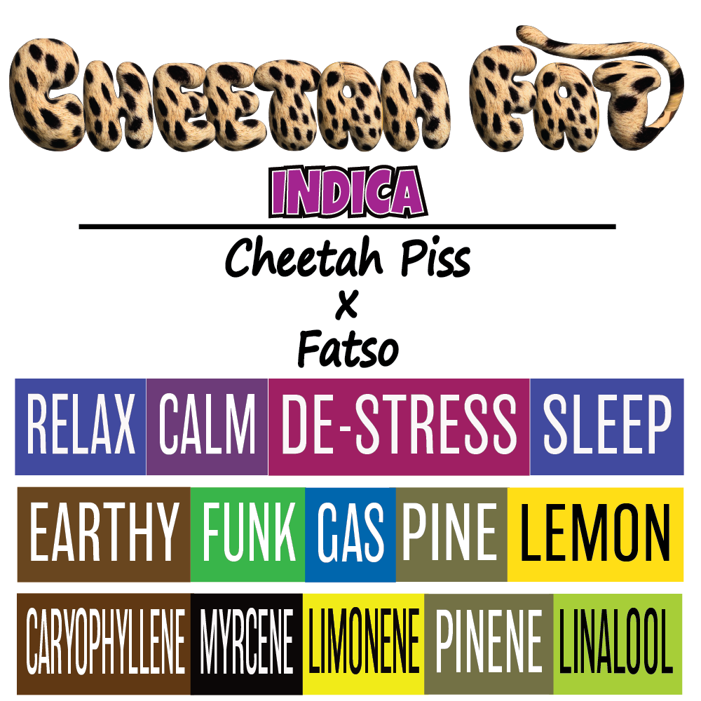Cheetah Fat - Strain Card - 1k x 1k.png