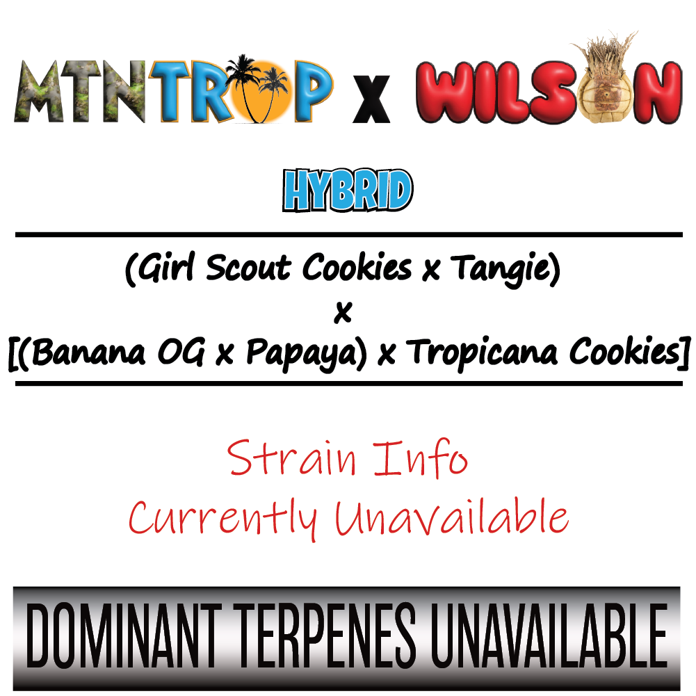 MTN Trop - Strain Card - 1K x 1K.png