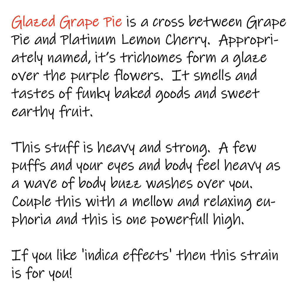Glazed Grape Pie - Writeup - 1K x 1K.png