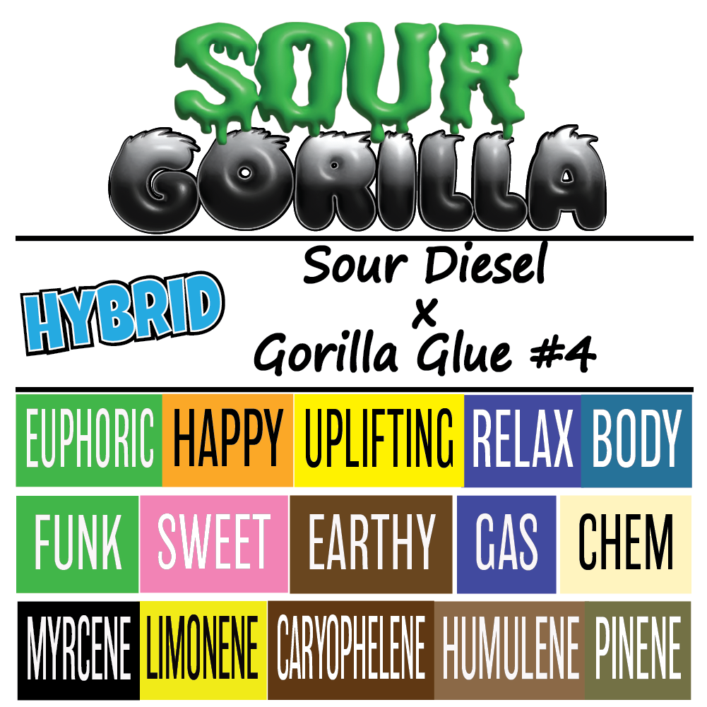 Sour Gorilla - Strain Card - 1K x 1K.png