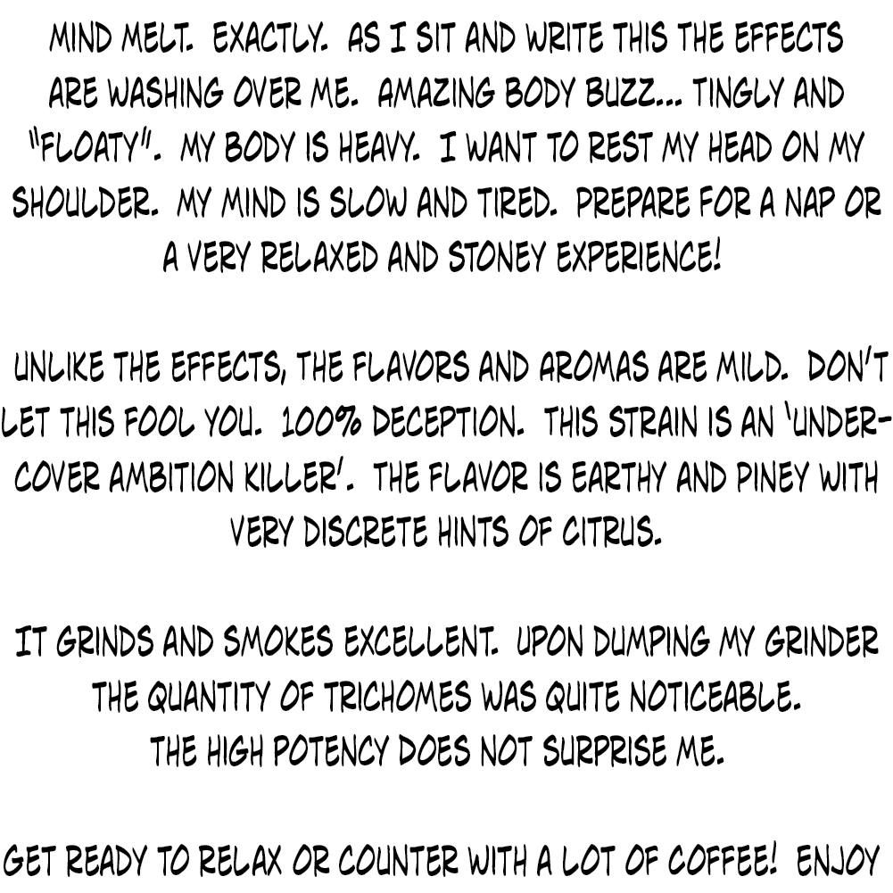 Mind Melt - Writ-Up - 1K x 1K - V2.png