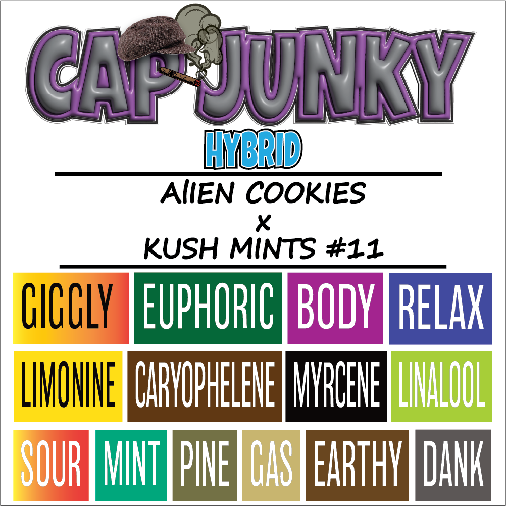Cap Junky - Strain Card - 1000x1000pix - V2.png