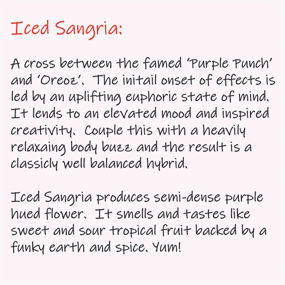Iced Sangria - Write-up - 1K x 1K-100.jpg