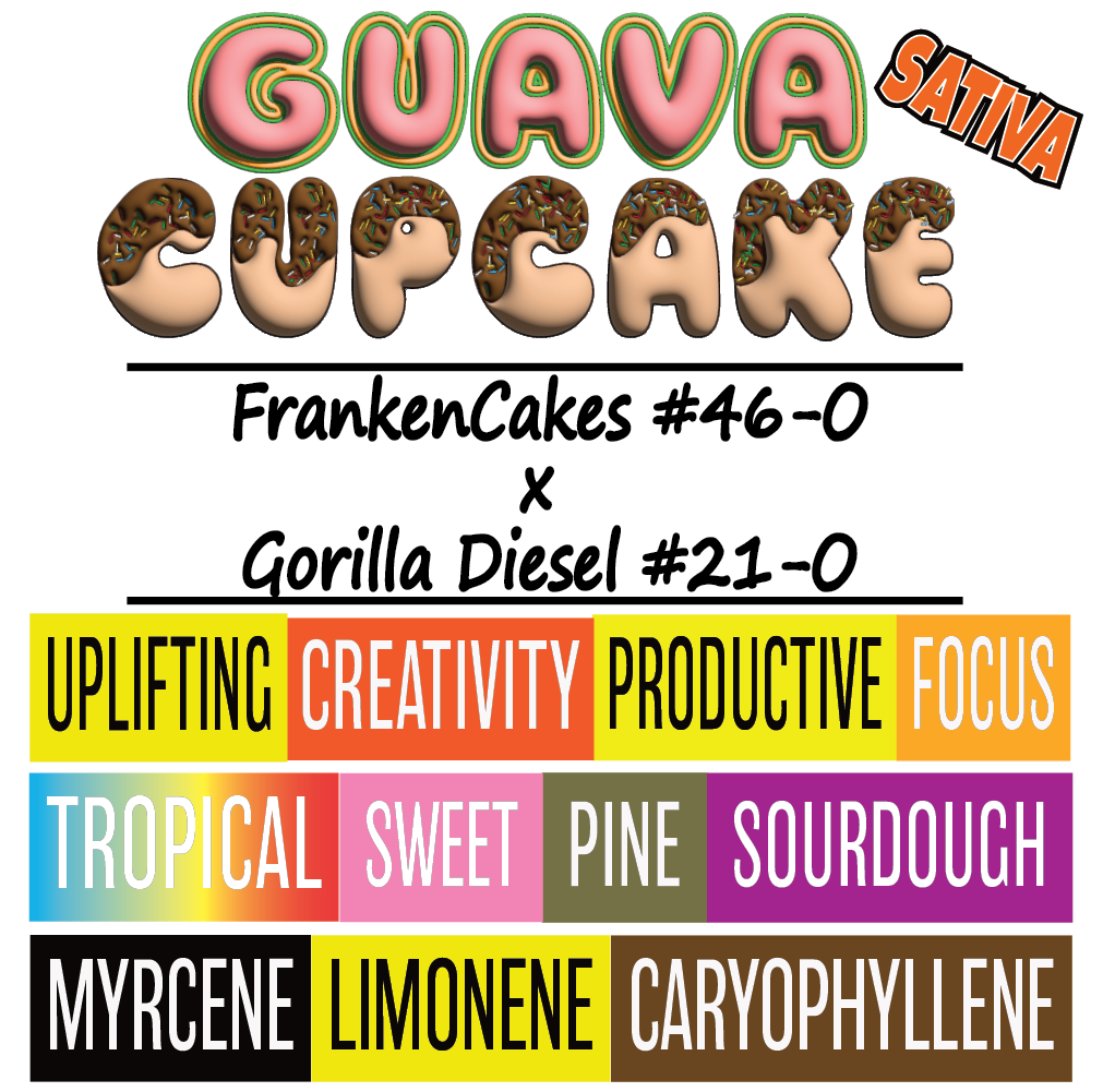 Guava Cupcake - Strain Card - 1K x 1K.png