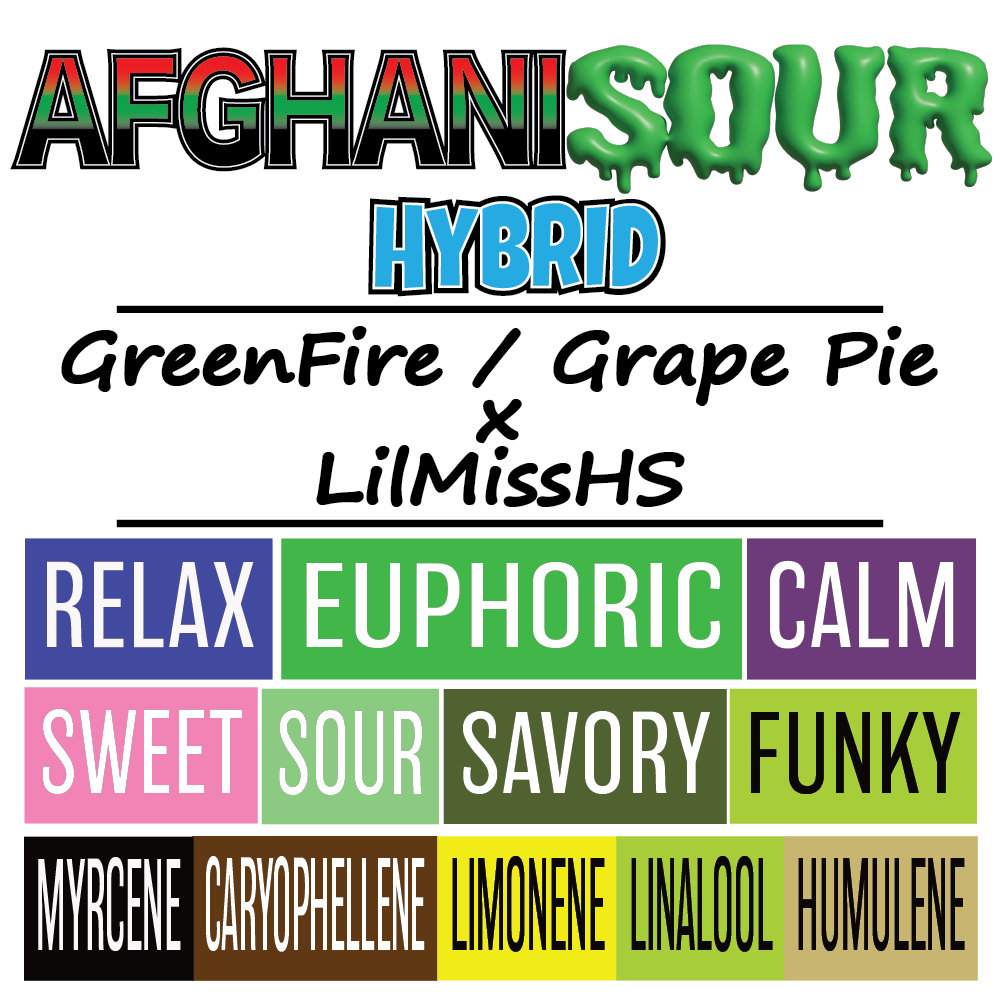 Afghani Sour - Strain Card - 1000px x 1000px.png