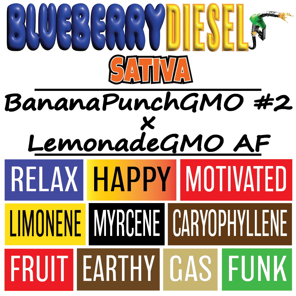 Blueberry Diesel - Strain Sign - 1000x1000pix.png