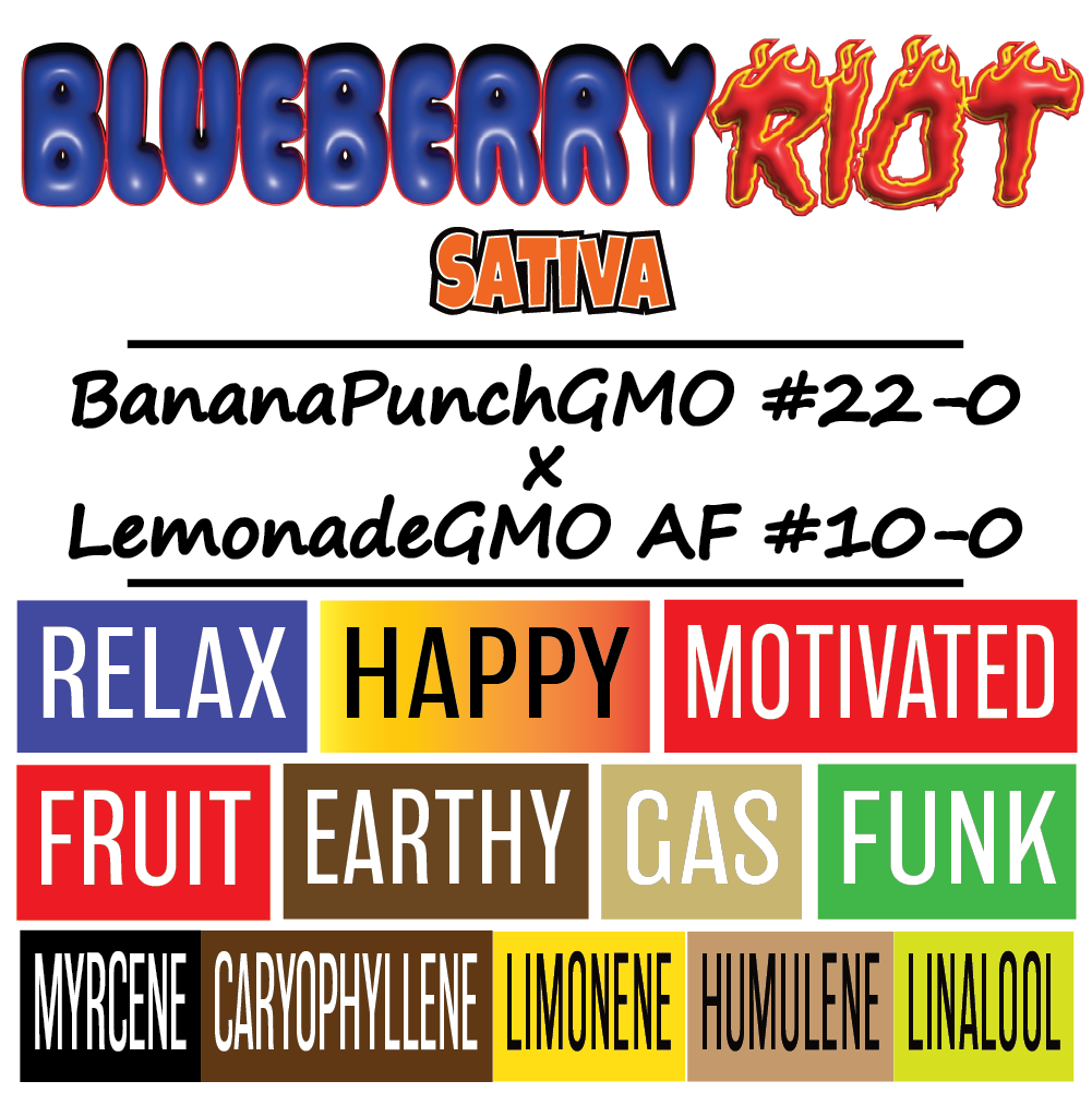 Blueberry Riot - Strain Card - 1K x 1K - V2.png