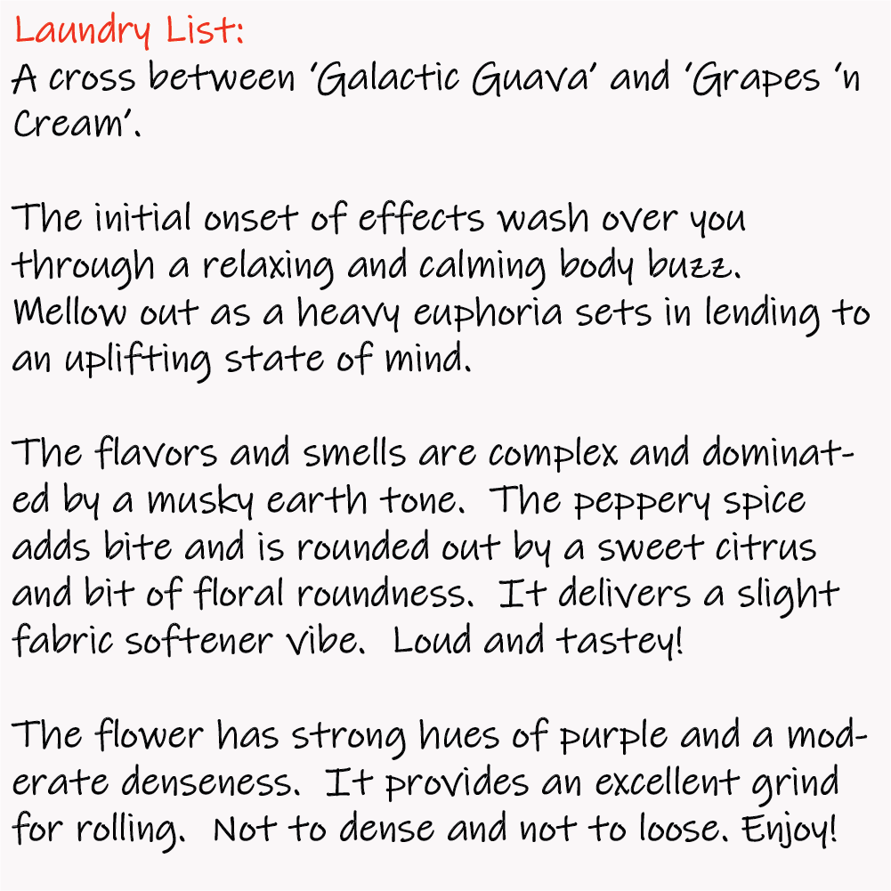 Laundry List - Write-up - 1K x 1K.png