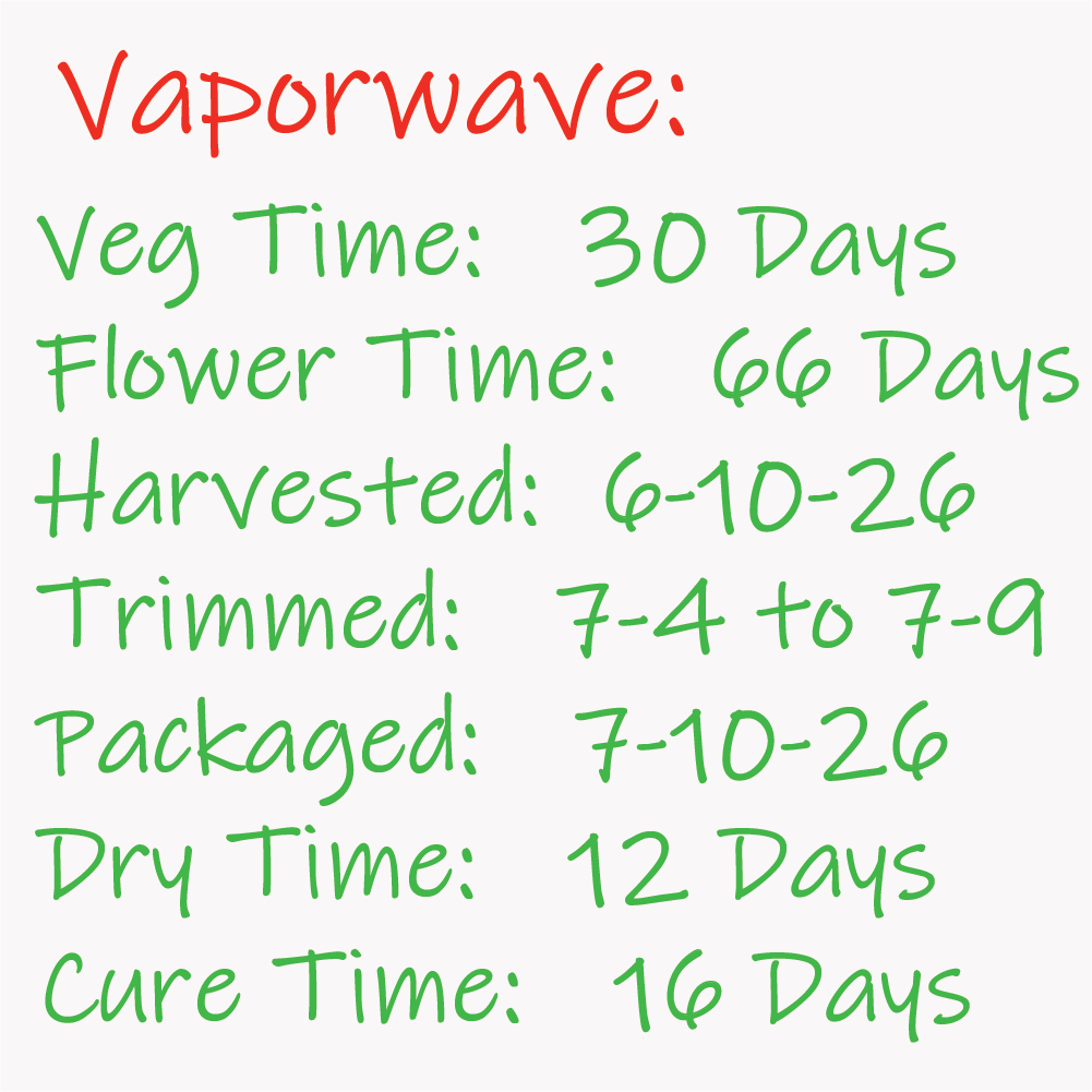 Vaporwave time-line Card - 7-9-26.png