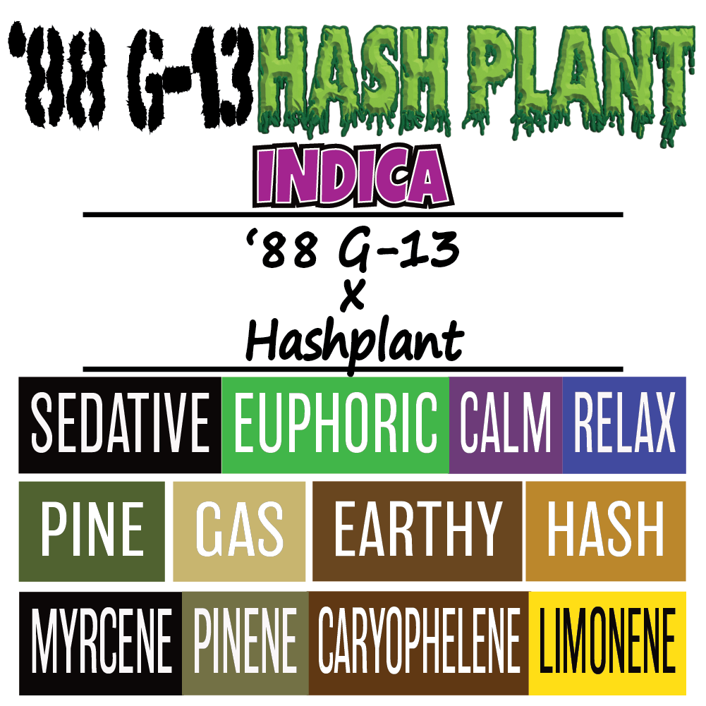 88 G-13 Hashplant - Strain Card - 1000px x 1000px.png