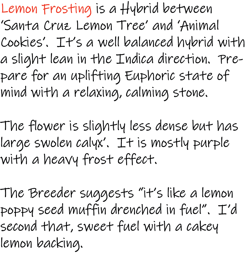 Lemon Frosting Write-up - 1K x 1K - V3.png