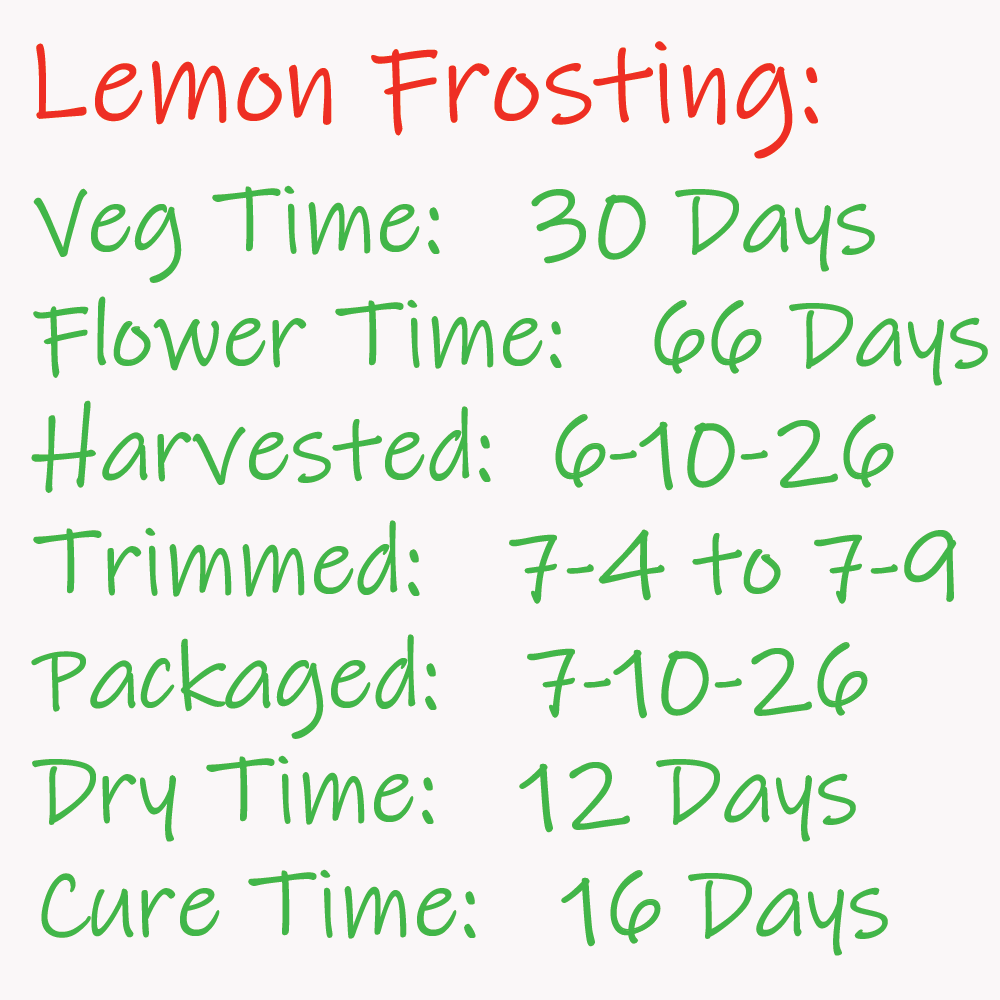 Lemon Frosting Time Line Card - 7-9-26.png