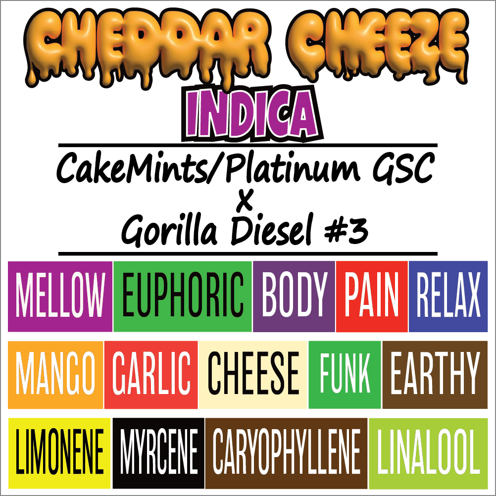 Cheddar Cheeze - Strain Card - 1K x 1K - V2.png