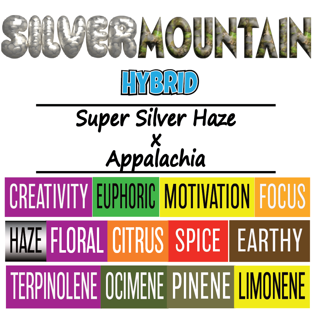 Silver Mountain - Strain Card - 1K x 1K .png