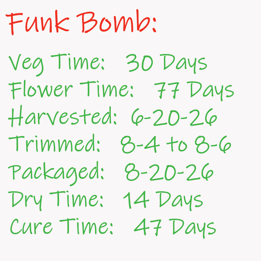 Funk Bomb - Time-line Card - 1K x 1K.png