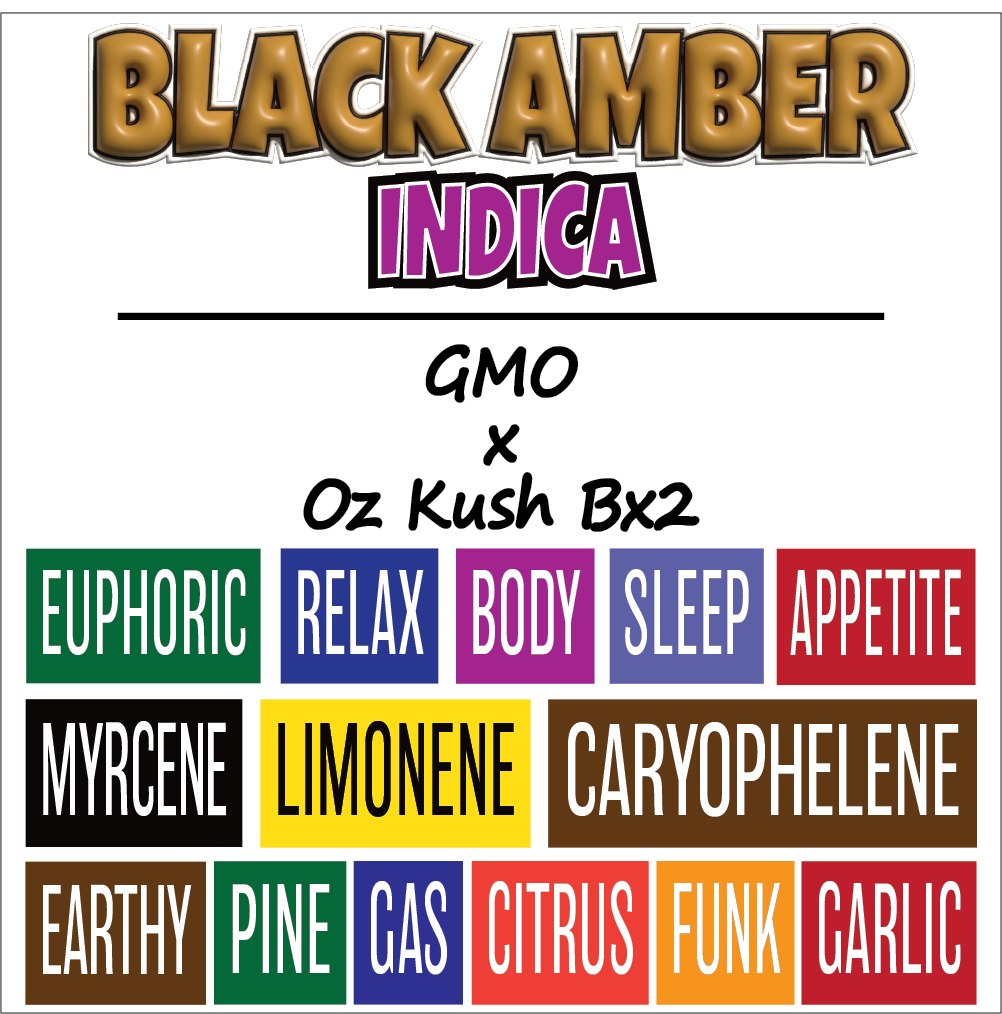 Black Amber - Strain Card - 1000x1000pix.png