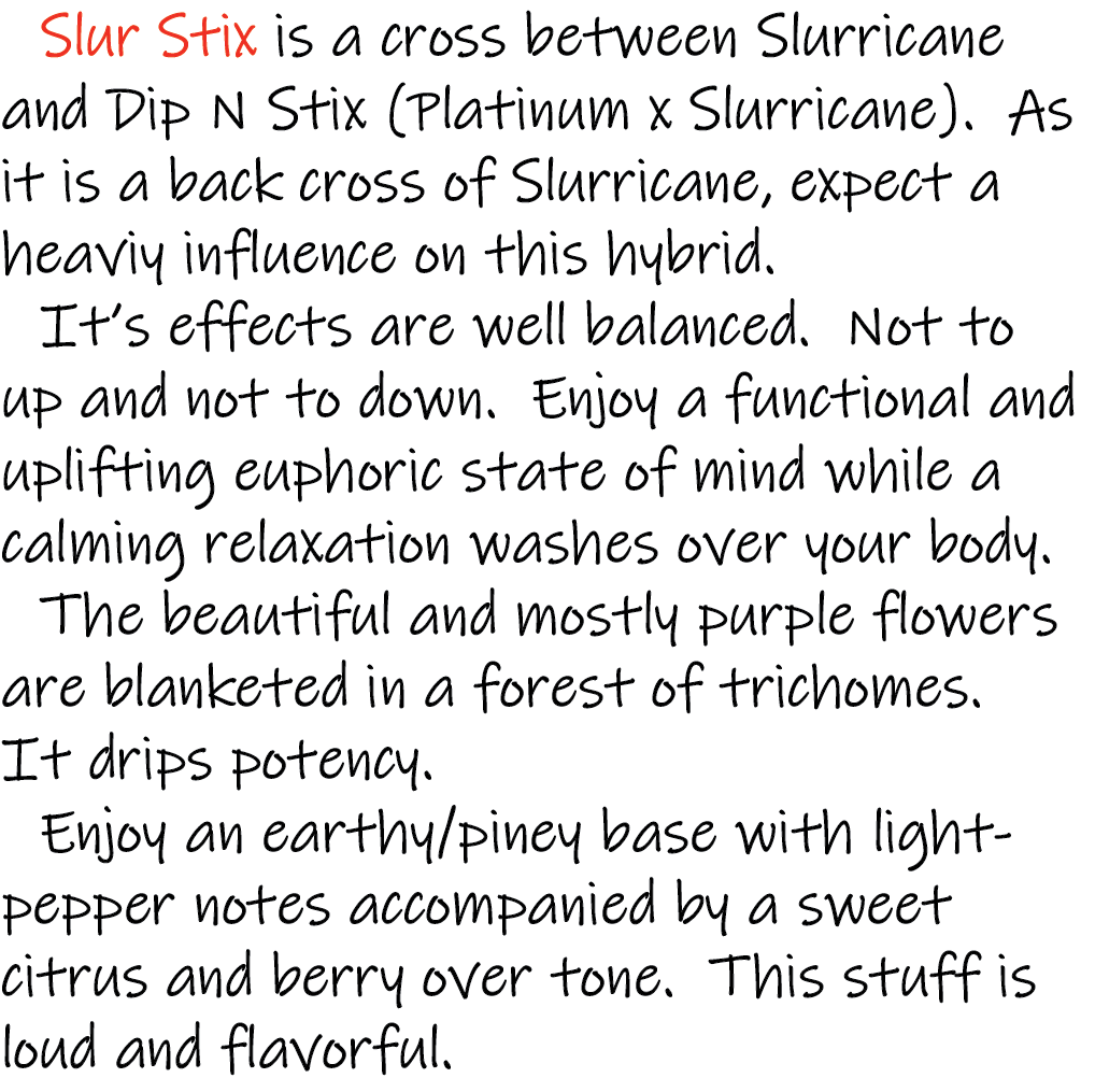Slur Stix - Strain Write up - 1K x 1K.png