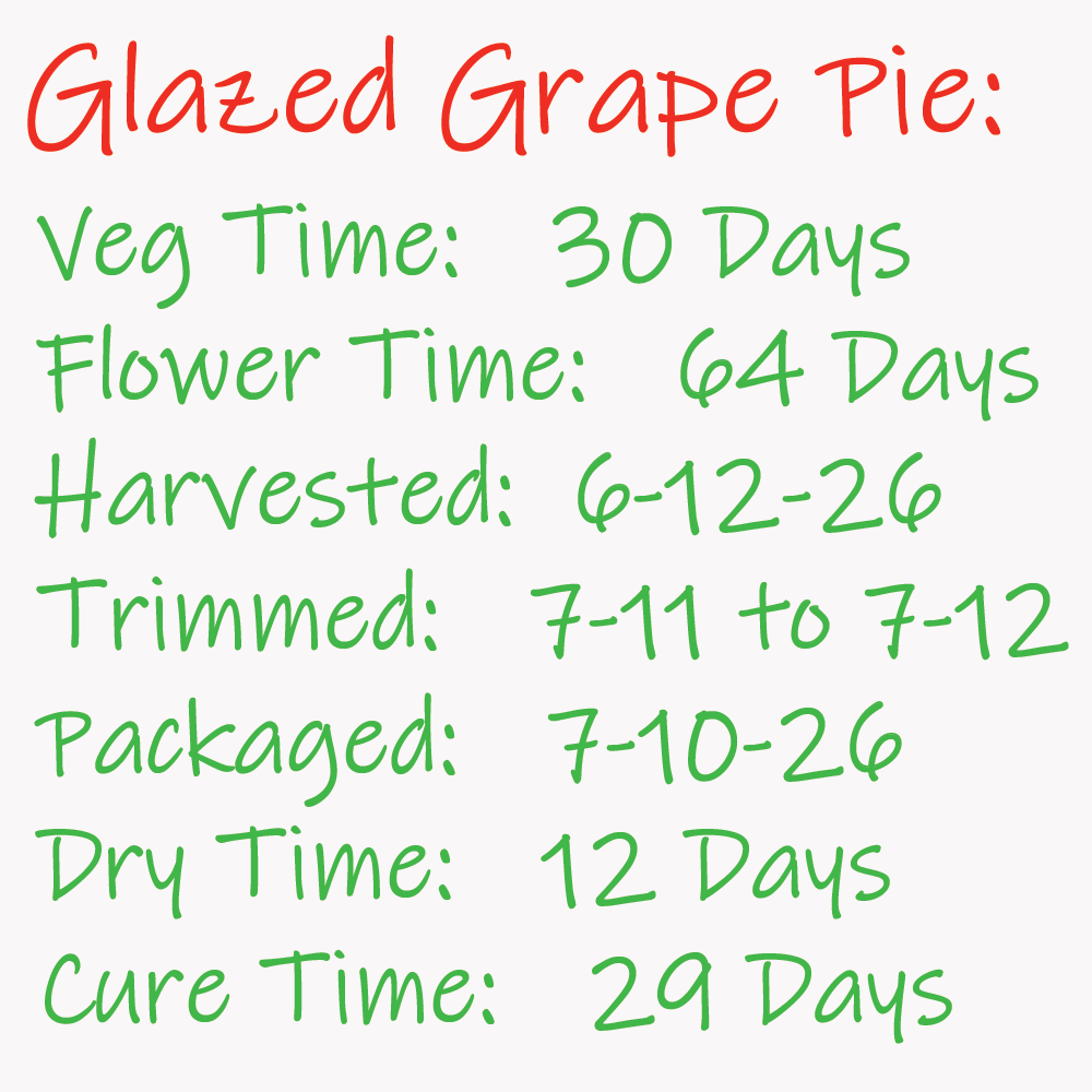 Glazed Grape Pie Calendar Card - 1K x 1K.png