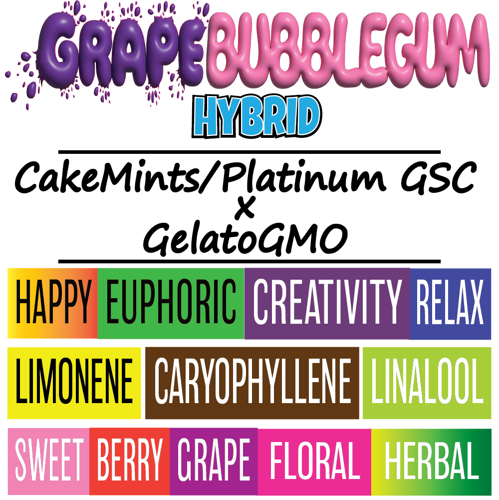 Grape Bubblegum - Strain Card - 1000px x 1000px.png