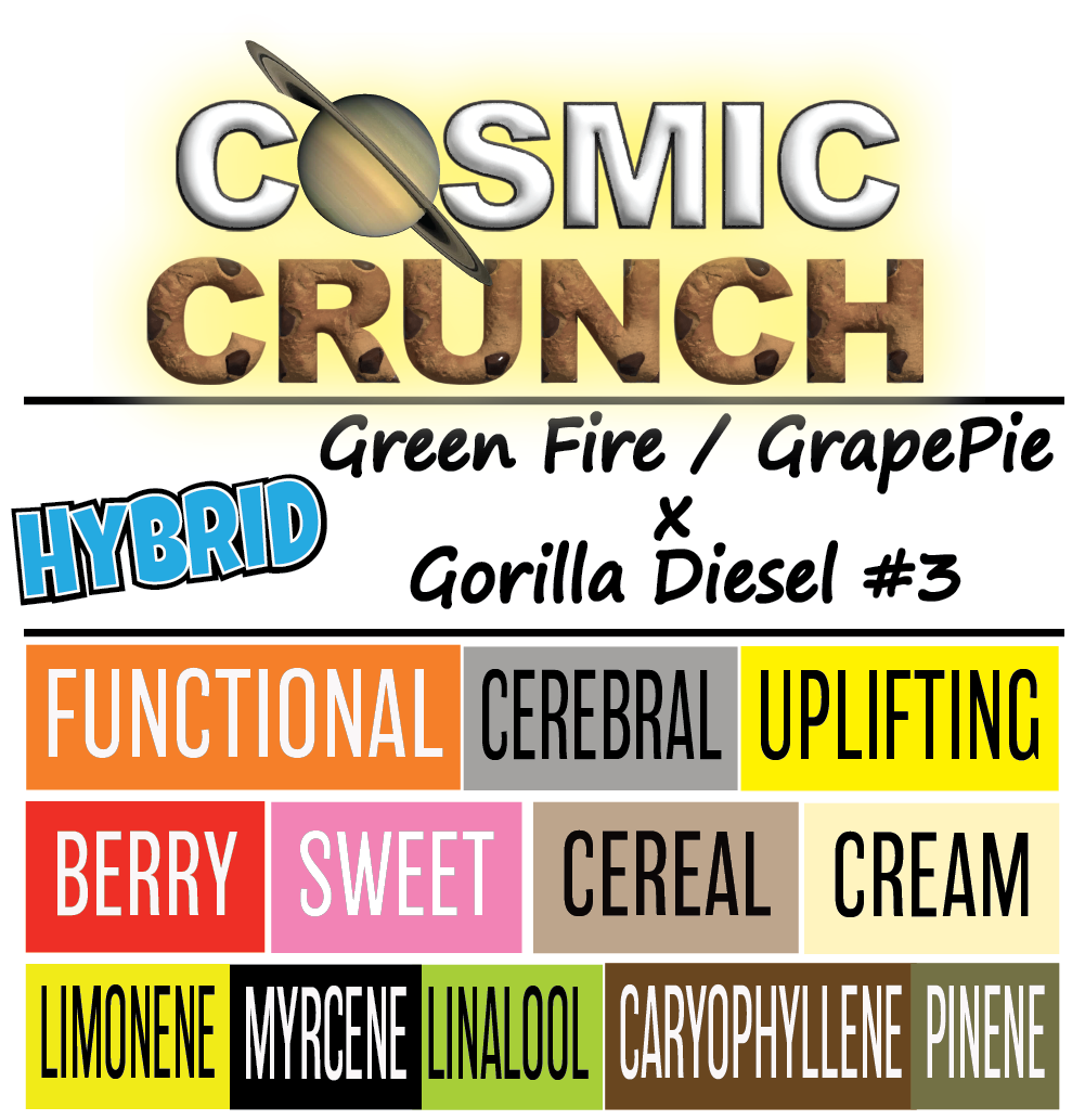 Cosmic Crunch - Strain Card - 1k x 1K.png