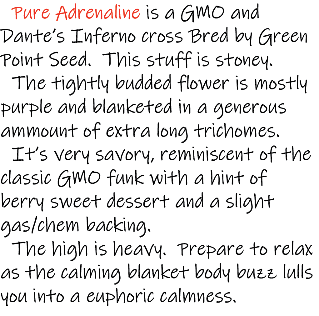 Pure Adrenaline - Strain Write-up.png