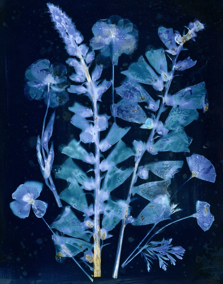 Foxglove Bouquet