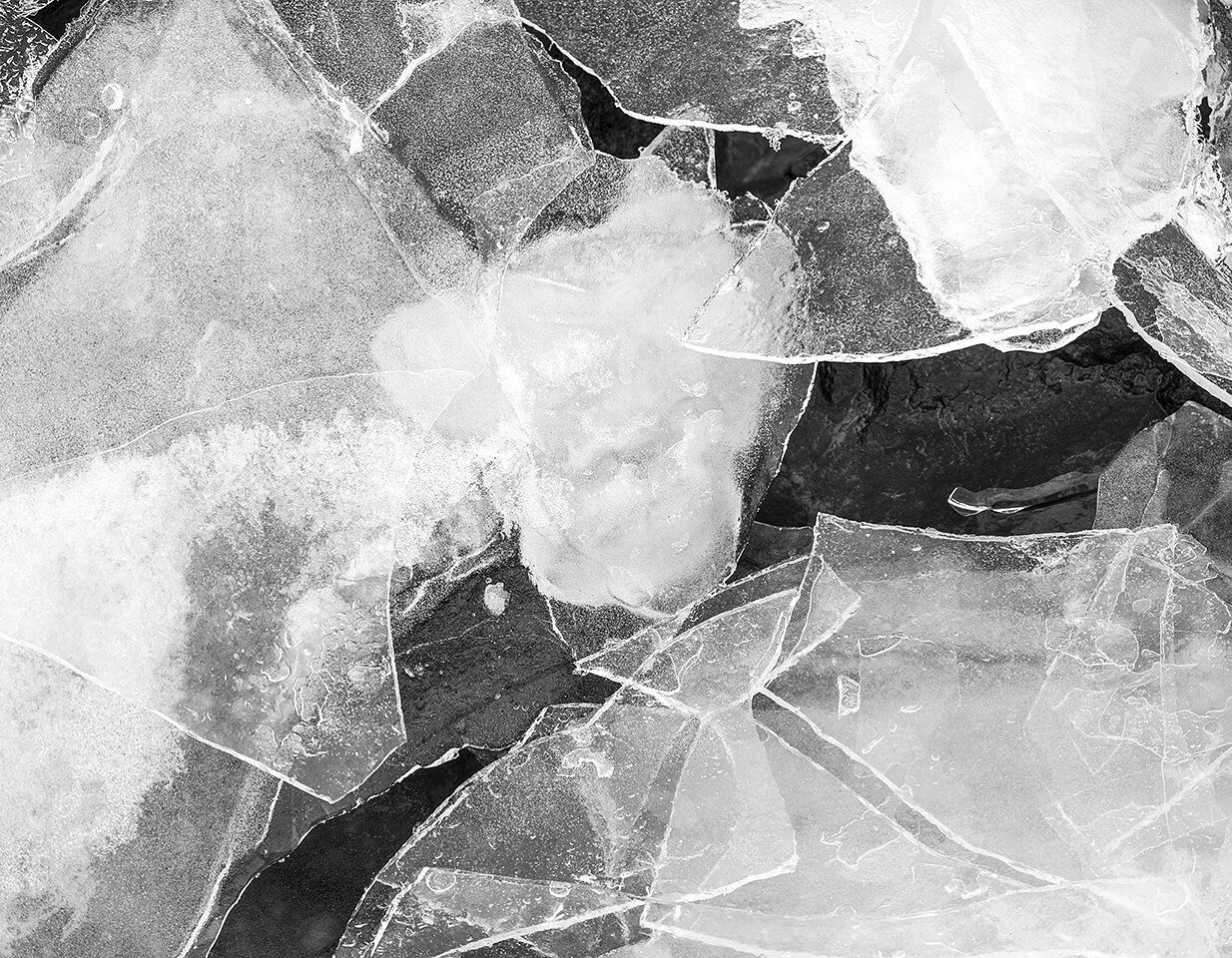 Arctic Ice
