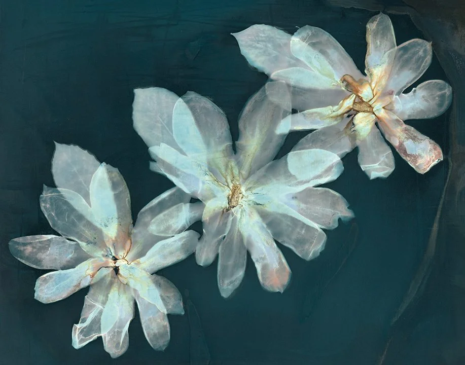 Magnolia Mystery 2