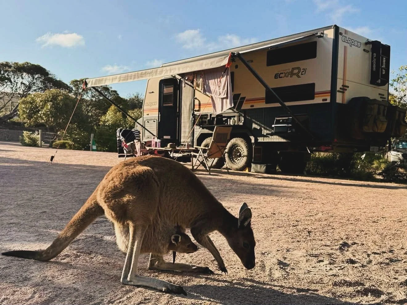 Western Australian made 🦢 built for the remote Australian 🇦🇺 conditions. With partners such as @redarc_electronics and @cruisemastercountry using their advanced power and Suspension systems,  know your in safe hands traveling this vast country of 