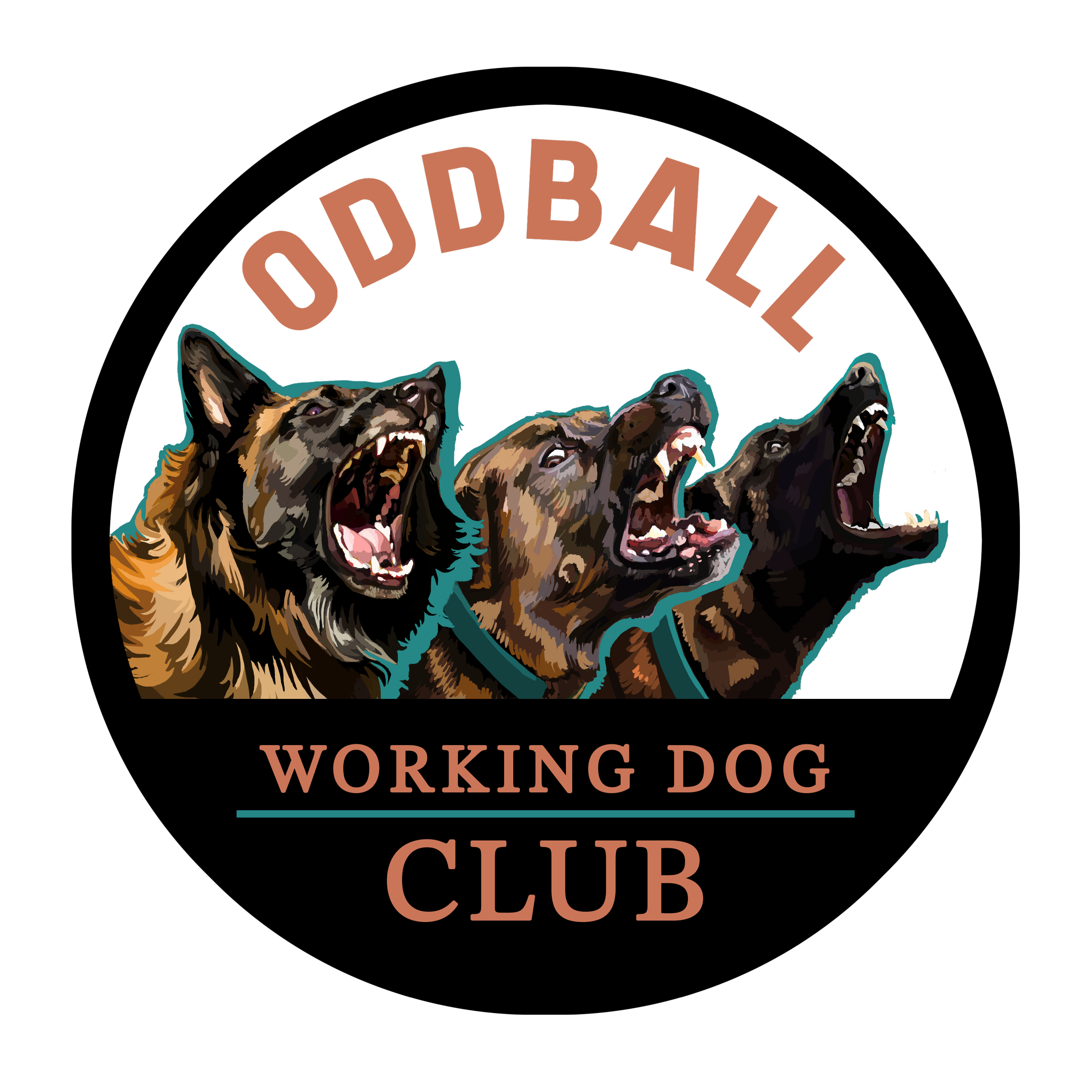 B083C85F-3DBB-4B02-A7F6-789E50F6593B.png